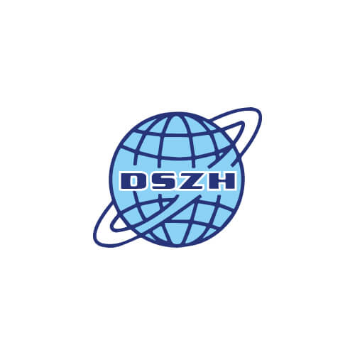 logo dszh